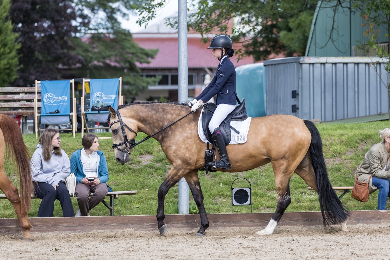 Bild 385 - Pony Akademie Turnier